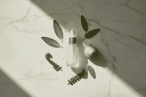 Snail Mucin en K-Beauty : rôle, utilisation et précautions